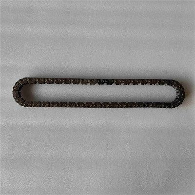 TC -0017- AM Цепочка корпуса передачи SP 01666 32.6 MM Ширина WM23SB -21*84 Raptor